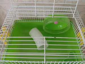 Hamster Cage