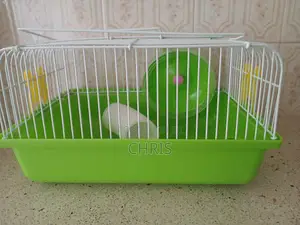 Hamster Cage