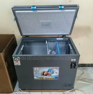 250litres Deep Freezer Rebune