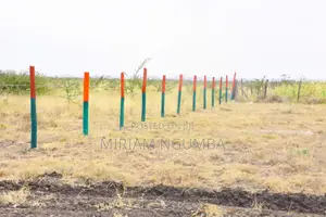Kamakis Mwalimu Farm Plots