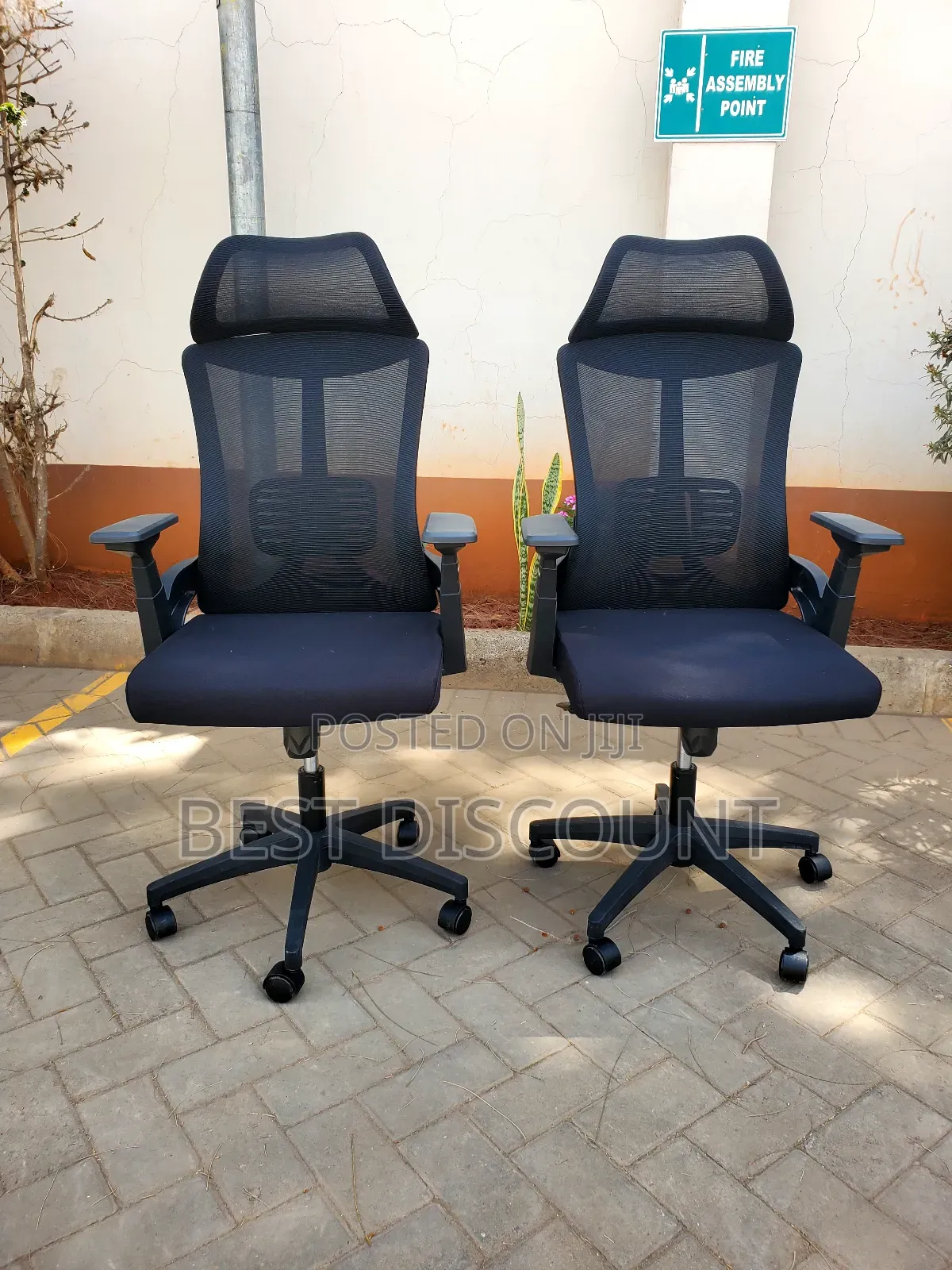 Ergonomic Premium Office Chairs