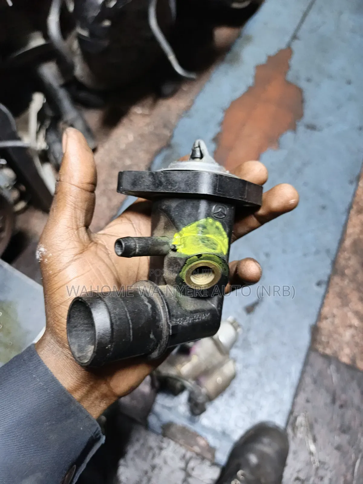 Water Jacket For Mazda Demio Diesel