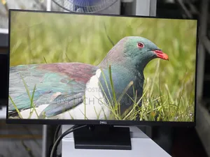 Dell P2719h 27 Inches Monitor Ips Display