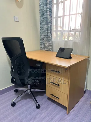 Ergonomic Chair and Desk