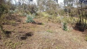 Kiambu Limuru 50x100 Plot - thumbnail 2