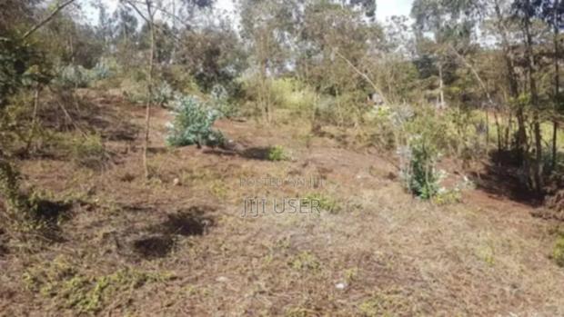 Kiambu Limuru 50x100 Plot - main view
