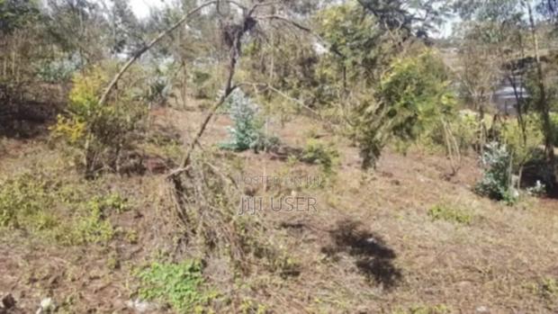 Kiambu Limuru 50x100 Plot - thumbnail 3