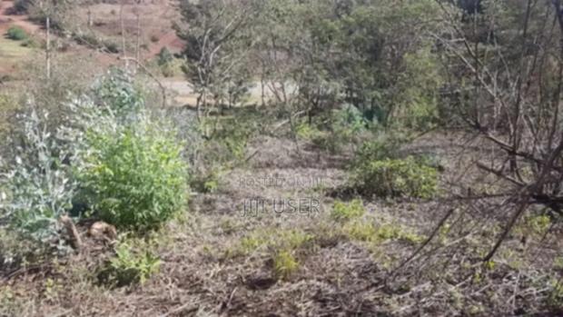 Kiambu Limuru 50x100 Plot - thumbnail 4