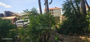 Commercial 1⁄4 Plot for Sale in Annex Stabex Eldoret