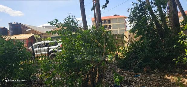 Commercial 1⁄4 Plot for Sale in Annex Stabex Eldoret - thumbnail 3