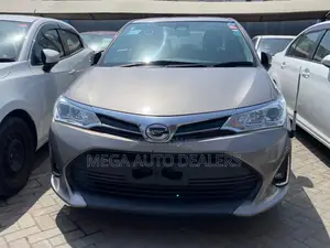 Toyota Axio 2018 Gray
