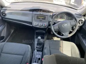 Toyota Axio 2018 Gray