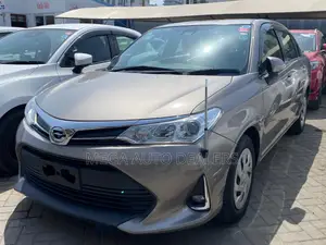 Toyota Axio 2018 Gray