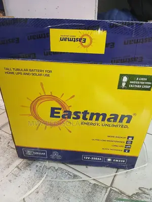 200ah Eastman Tall Tubular Battery