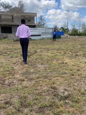 Kabati Prime - main view