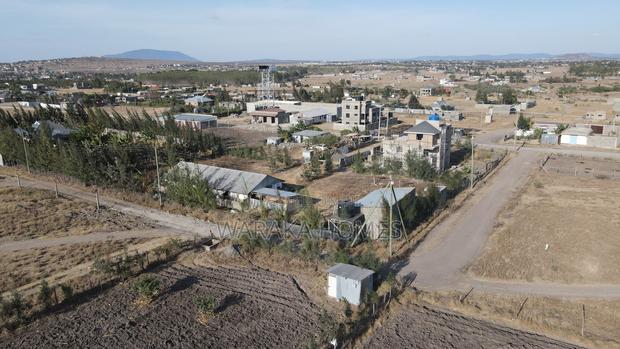 Joska Mutalia - Only - main view