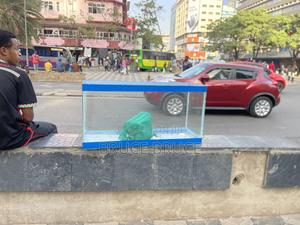 Aquarium Tank