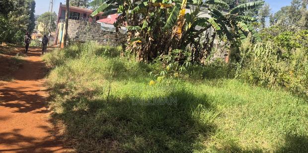 Prime Plot - thumbnail 3