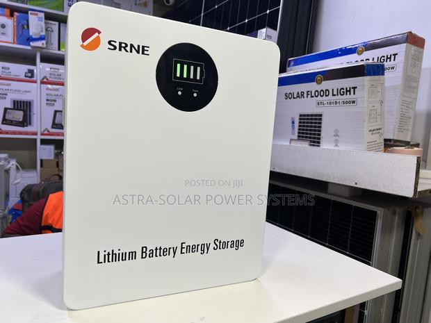 Srne 2.56kwh 24v Lithium Battery - thumbnail 3