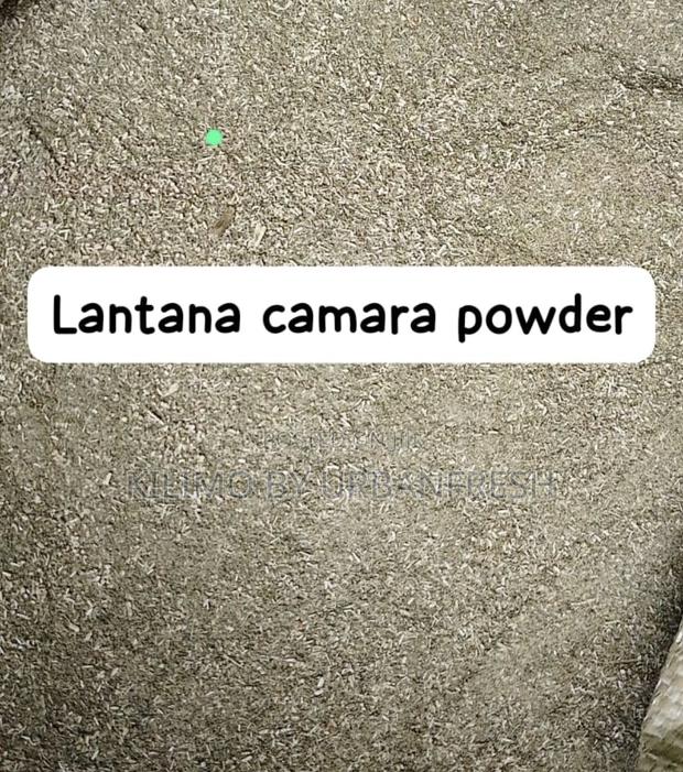 Lantana Camara Powder. 1 Kg