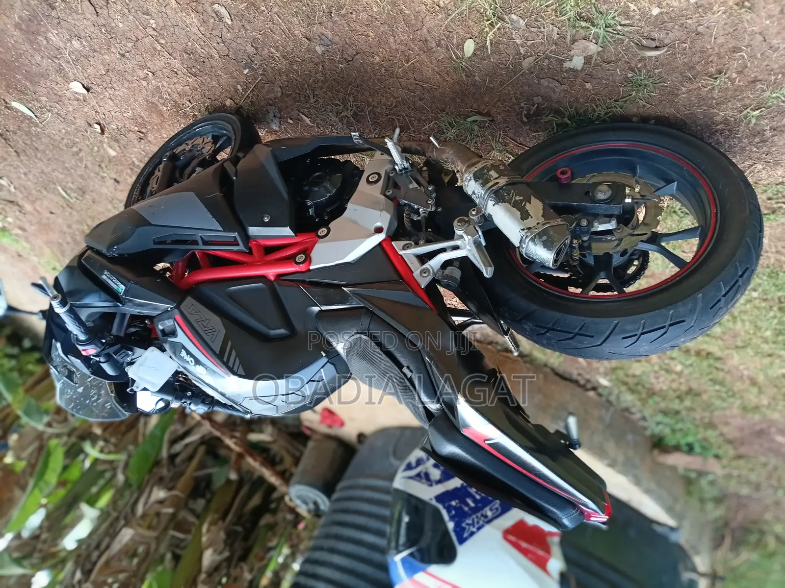 Taro GP1 250R 2022 Red
