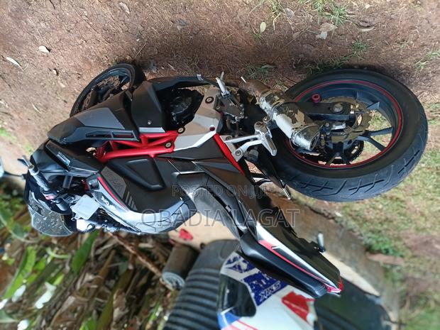 Taro GP1 250R 2022 Red - thumbnail 4