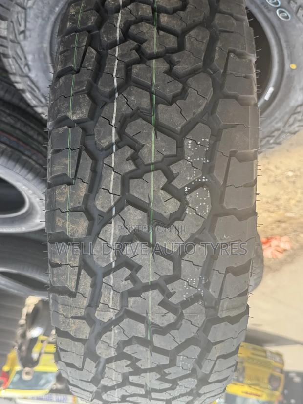 225/65r17 Comforser Cf1100