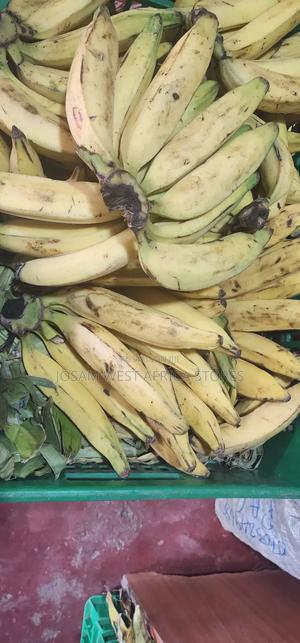 Ripe Plantain - main view