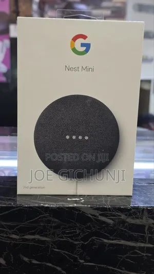 Google Next Mini Gen 2