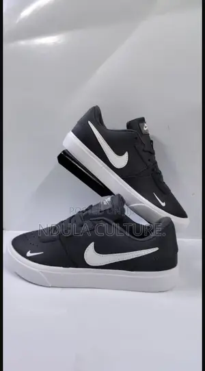 Nike Sb Force