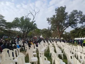 Plastic Chairs for Hire