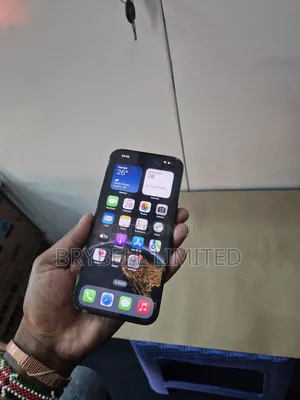 Apple iPhone 14 Pro Max 256 GB Gray