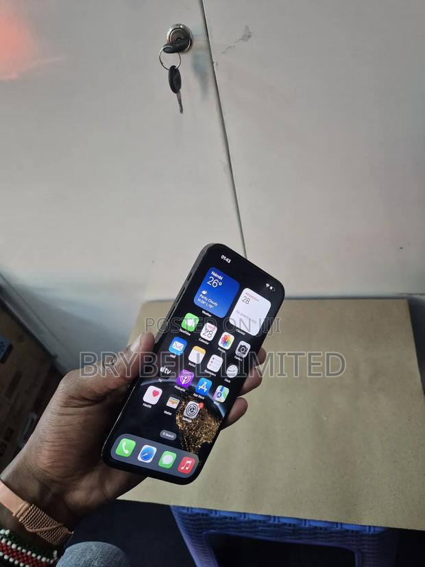 Apple iPhone 14 Pro Max 256 GB Gray - thumbnail 4