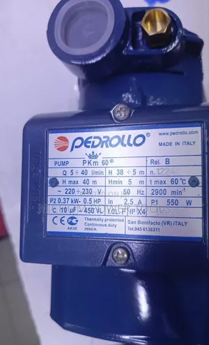 0.5hp Pedrollo Booster Water Pump/0.5hp Water Pump