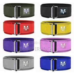 Gym Belt in Variety of Sizes