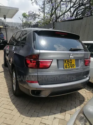 BMW X5 xDrive30i AWD (3.0L 6cyl 6A) 2010 Gray