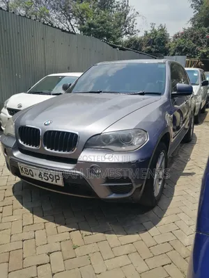 BMW X5 xDrive30i AWD (3.0L 6cyl 6A) 2010 Gray