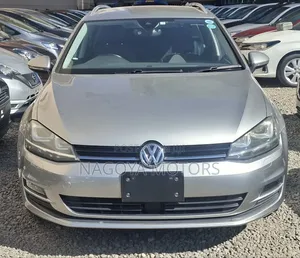 Volkswagen Golf Variant 2018 Gray