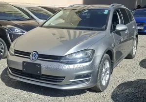 Volkswagen Golf Variant 2018 Gray