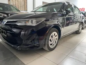 Toyota Axio 2018 Black