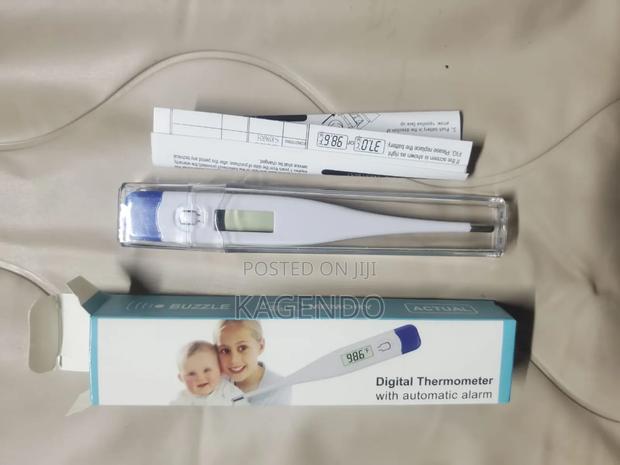 Digital Thermometer - main view