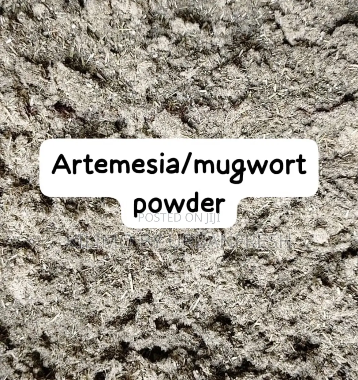 Mugwort Powder 1 Kg.