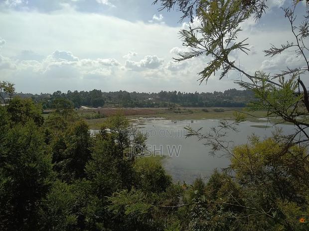 Limuru Town Plot Land for Sale - thumbnail 5