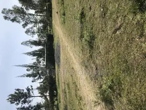 0.06ha Land for Sale in Korando Kisumu
