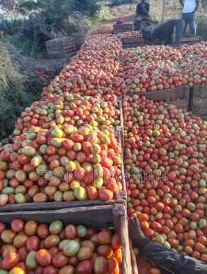 Tomatoes Ansal Variety - thumbnail 2