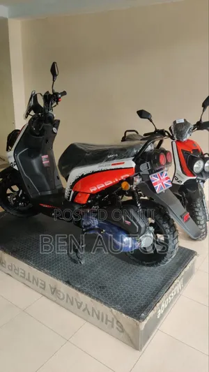 New Raleigh 150cc 2024 Orange