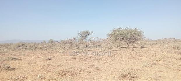 Naroosura Shamba - thumbnail 5