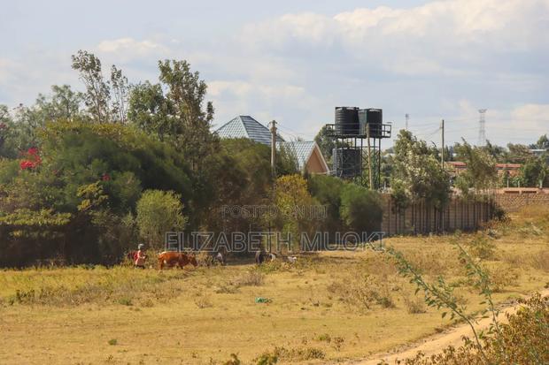 Isinya Products - main view