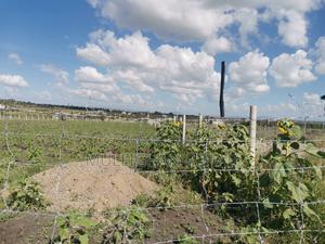 Half Acre NSSF Plots Sabaki on the Top Behind Signature Mall - thumbnail 2