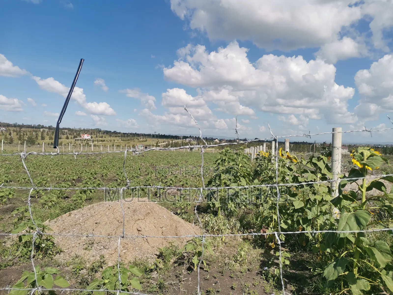 Half Acre NSSF Plots Sabaki on the Top Behind Signature Mall
